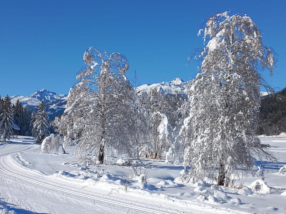 Landhaus Vogel Leilighet Weissensee Eksteriør bilde