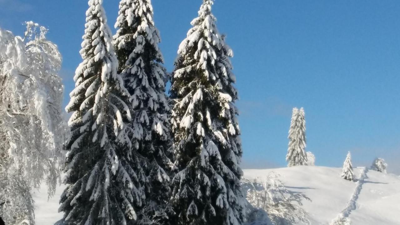 Landhaus Vogel Leilighet Weissensee Eksteriør bilde