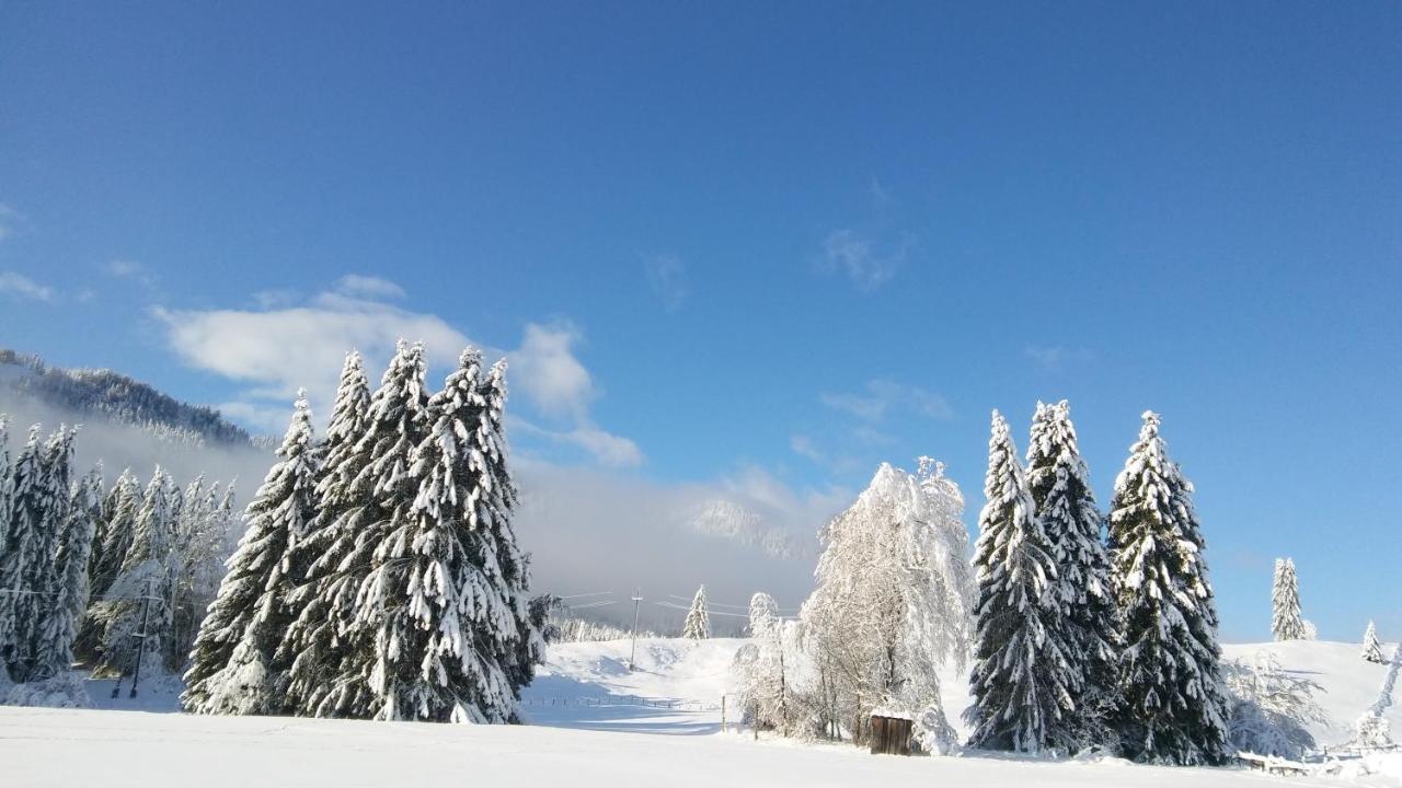 Landhaus Vogel Leilighet Weissensee Eksteriør bilde