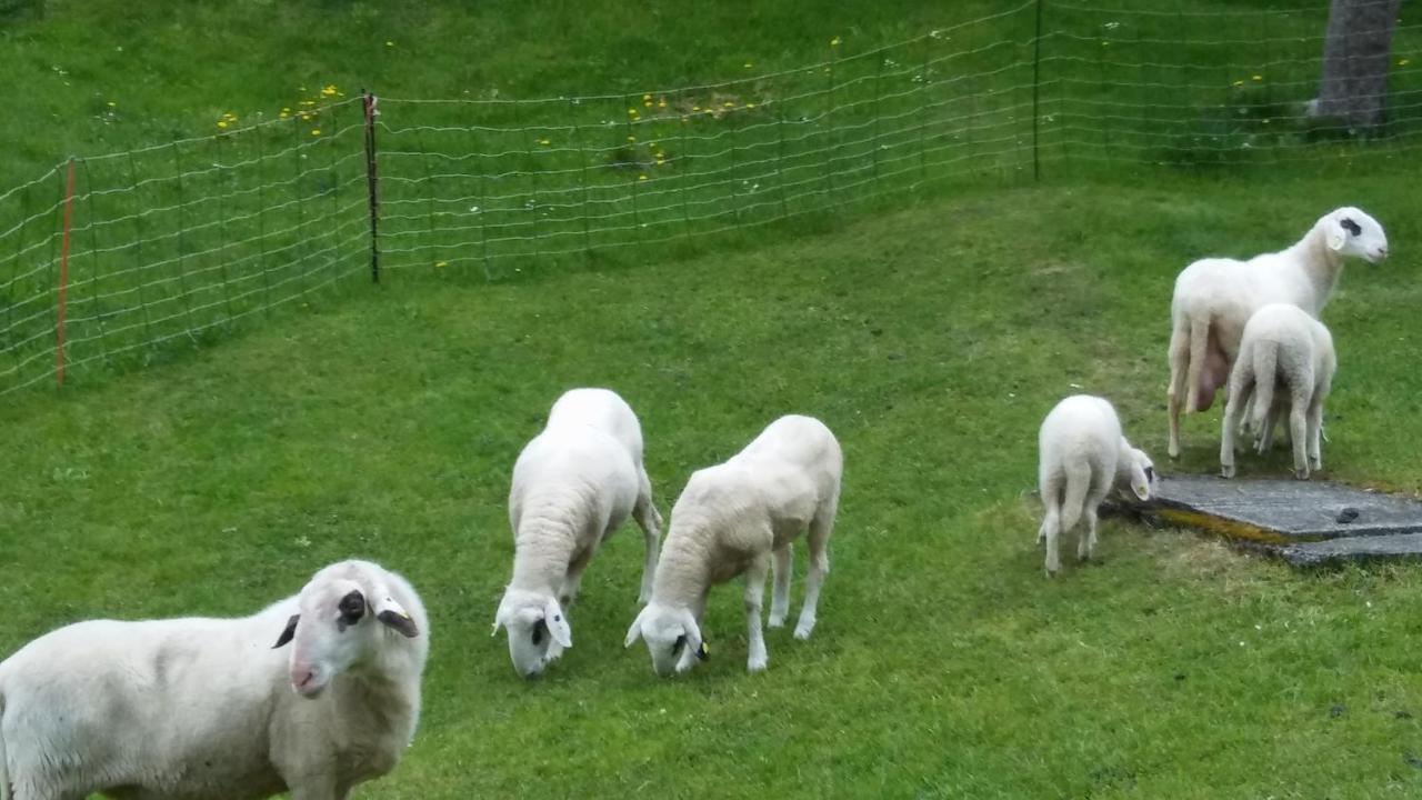 Landhaus Vogel Leilighet Weissensee Eksteriør bilde